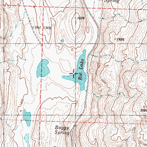 Topographic Map of Rat Lake, WA