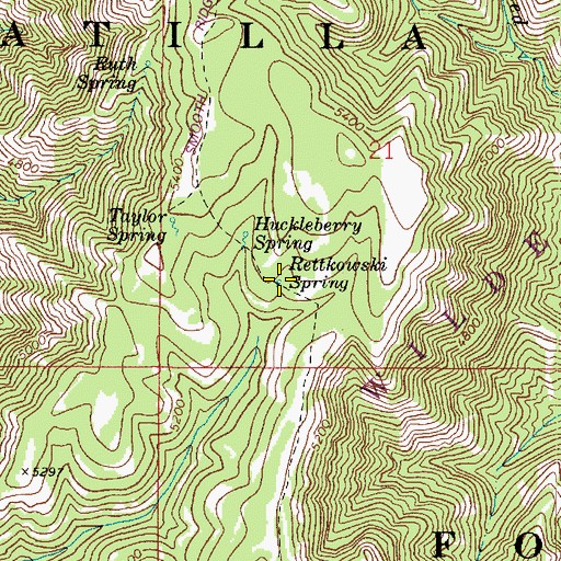 Topographic Map of Rettkowski Spring, WA