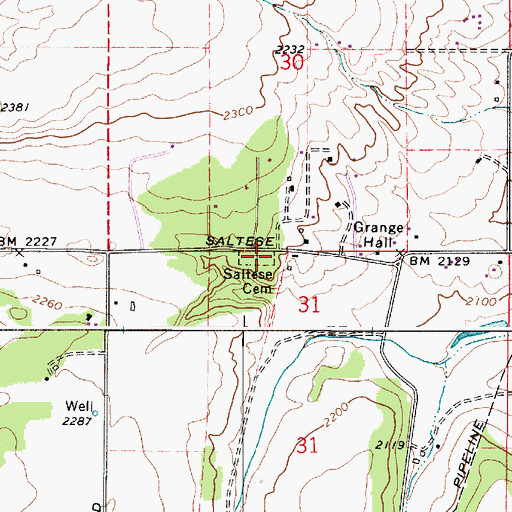 Topographic Map of Saltese Cemetery, WA