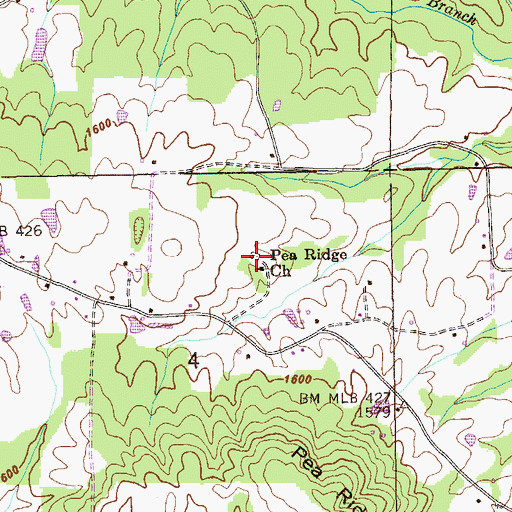 Topographic Map of Pea Ridge Cemetery, AL