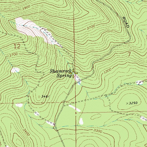 Topographic Map of Shamrock Spring, WA