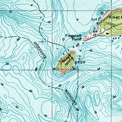 Topographic Map of Skagit Island, WA