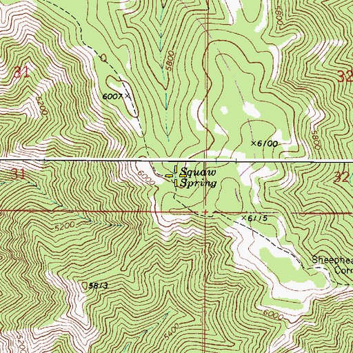 Topographic Map of Squaw Spring, WA