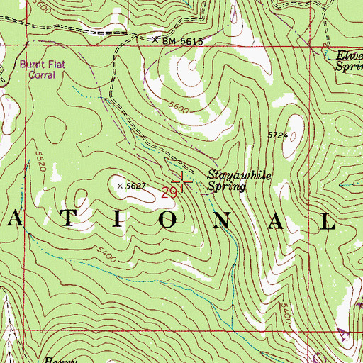 Topographic Map of Stayawhile Spring, WA