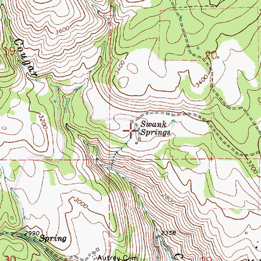 Topographic Map of Swank Springs, WA