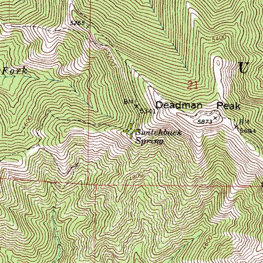 Topographic Map of Switchback Spring, WA