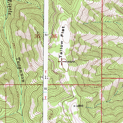 Topographic Map of Tallow Flat, WA
