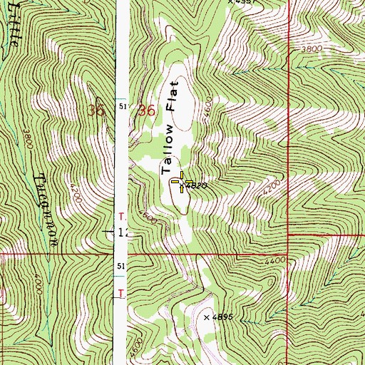 Topographic Map of Tallow Flat, WA
