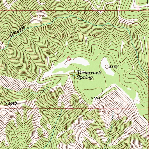 Topographic Map of Tamarack Spring, WA