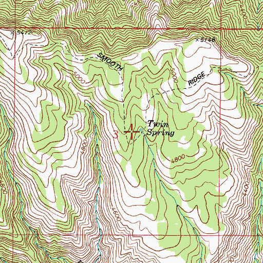 Topographic Map of Twin Spring, WA