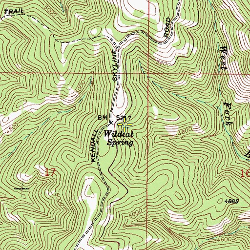 Topographic Map of Wildcat Spring, WA