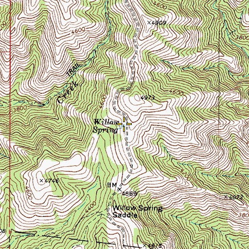 Topographic Map of Willow Spring, WA