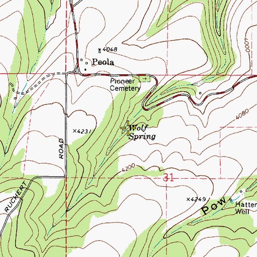 Topographic Map of Wolf Spring, WA