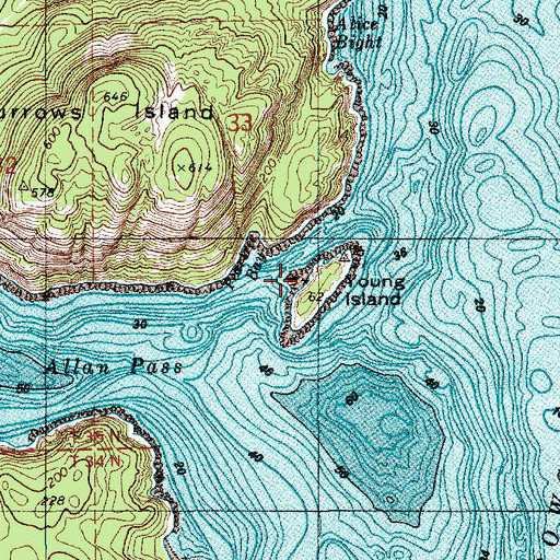 Topographic Map of Young Island, WA