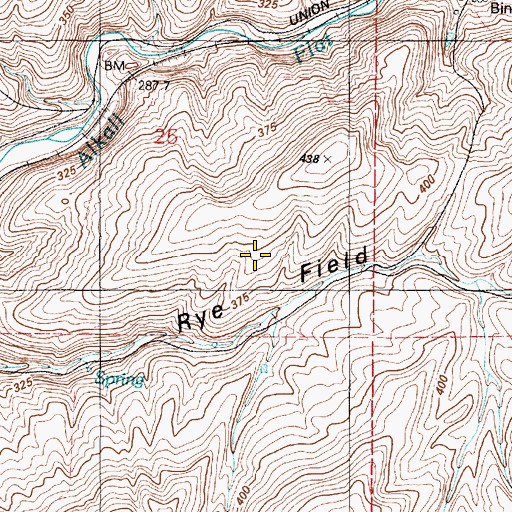 Topographic Map of Rye Field, WA
