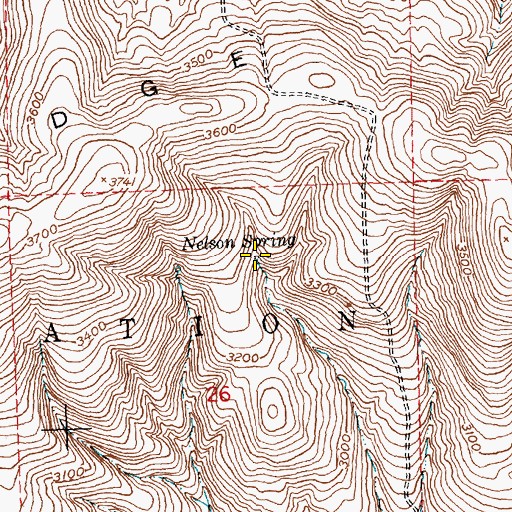Topographic Map of Nelson Spring, WA