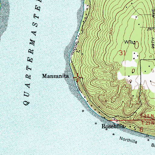 Topographic Map of Manzanita, WA