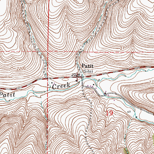 Topographic Map of Patit, WA