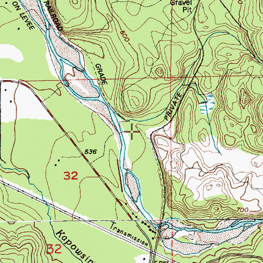 Topographic Map of Puyallup River Junction, WA