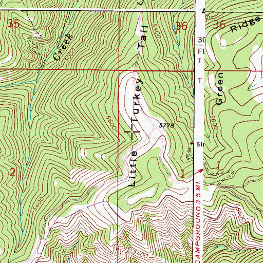 Topographic Map of Little Turkey Tail, WA