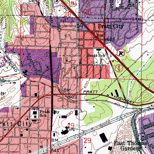 Topographic Map of The Drifttracks, AL