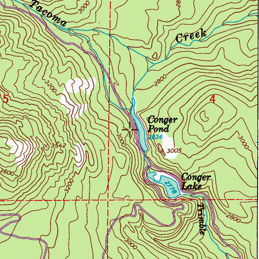 Topographic Map of Conger Pond, WA