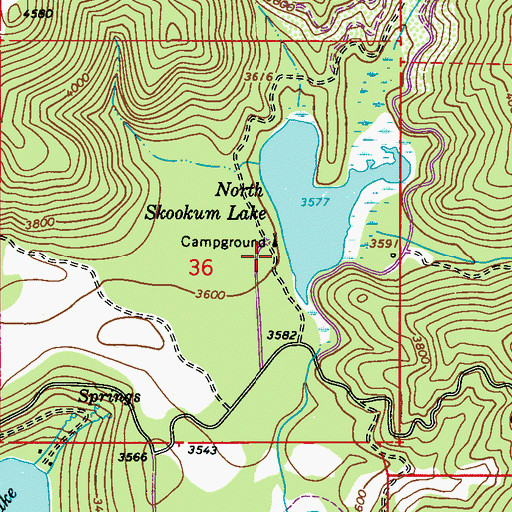 Topographic Map of North Skookum Lake Recreational Site, WA