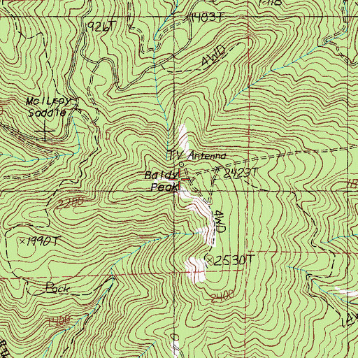 Topographic Map of Baldy Peak, WA