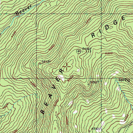Topographic Map of Beaver Ridge, WA