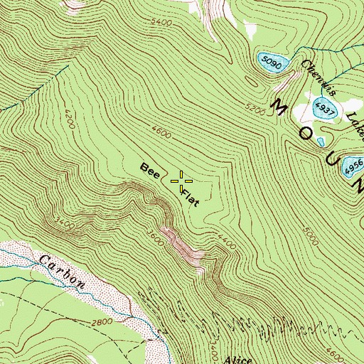 Topographic Map of Bee Flat, WA