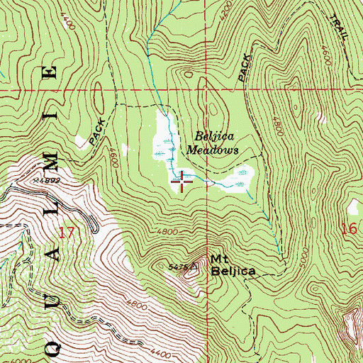 Topographic Map of Beljica Meadows, WA