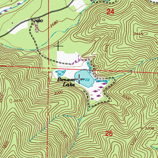 Topographic Map of Benson Lake, WA