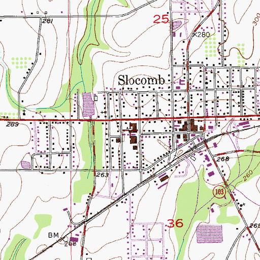Topographic Map of Slocomb High School, AL