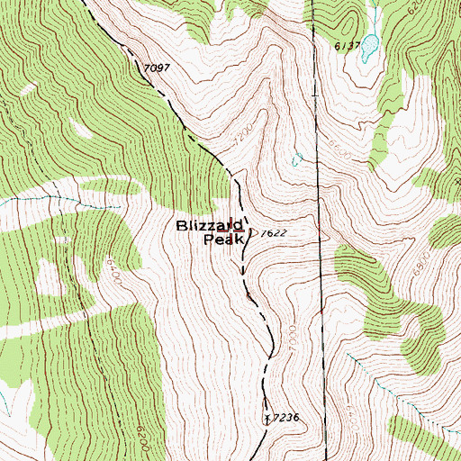 Topographic Map of Blizzard Peak, WA