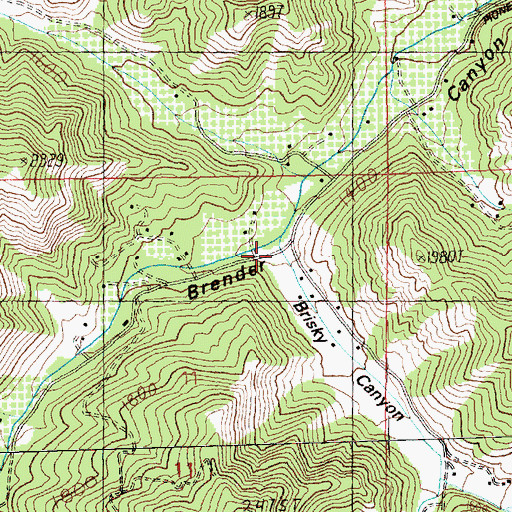 Topographic Map of Brisky Canyon, WA