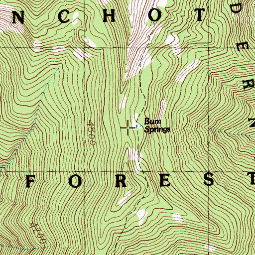 Topographic Map of Bum Springs, WA