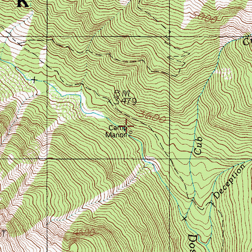 Topographic Map of Camp Marion, WA