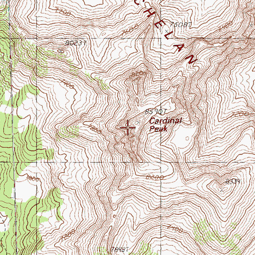 Topographic Map of Cardinal Peak, WA