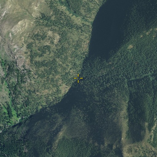 Aerial/Satellite Image of Castle Fork, WA