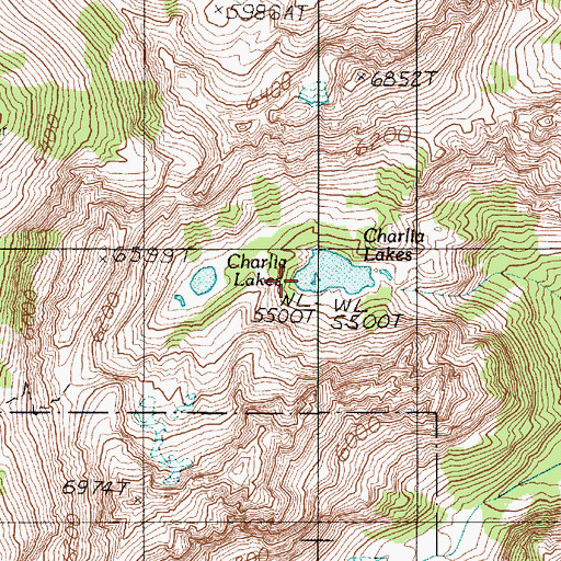 Topographic Map of Charlia Lakes, WA