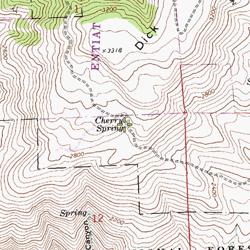 Topographic Map of Cherry Spring, WA