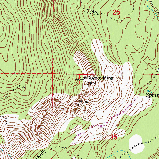 Topographic Map of Coyote Mine, WA