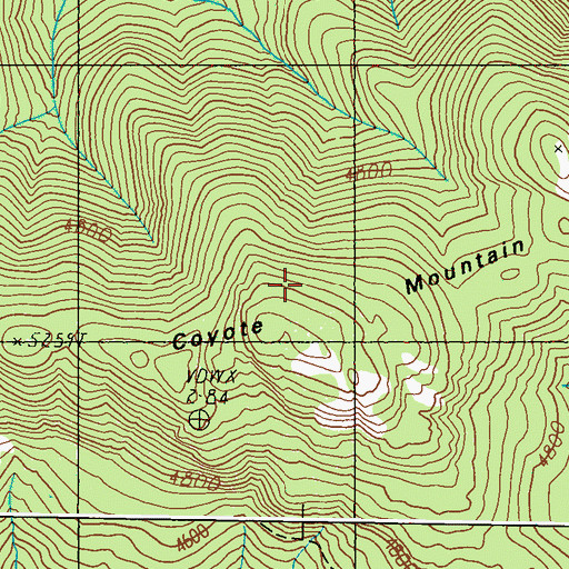 Topographic Map of Coyote Mountain, WA