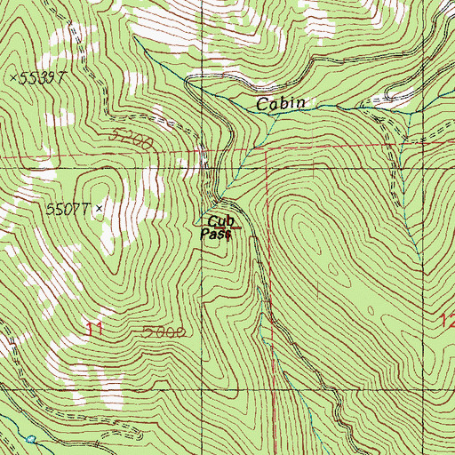 Topographic Map of Cub Pass, WA