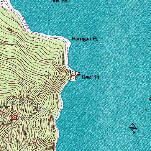 Topographic Map of Devil Point, WA