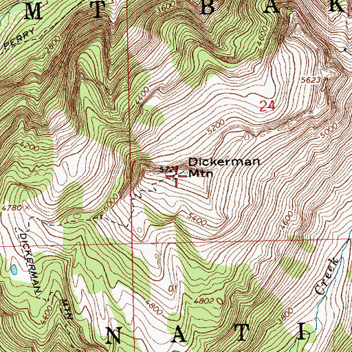 Topographic Map of Mount Dickerman, WA