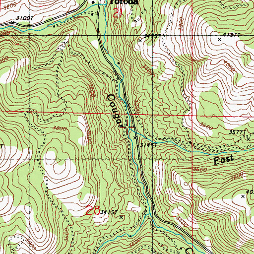 Topographic Map of East Fork Cougar Creek, WA