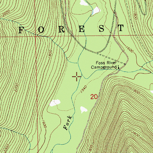 Topographic Map of East Fork Foss River, WA