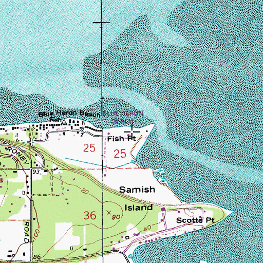 Topographic Map of Fish Point, WA
