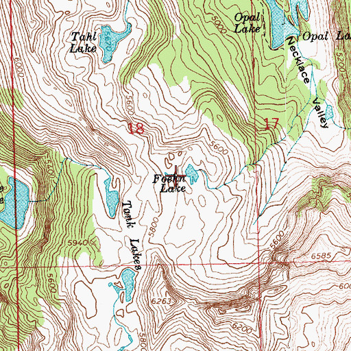 Topographic Map of Foehn Lake, WA